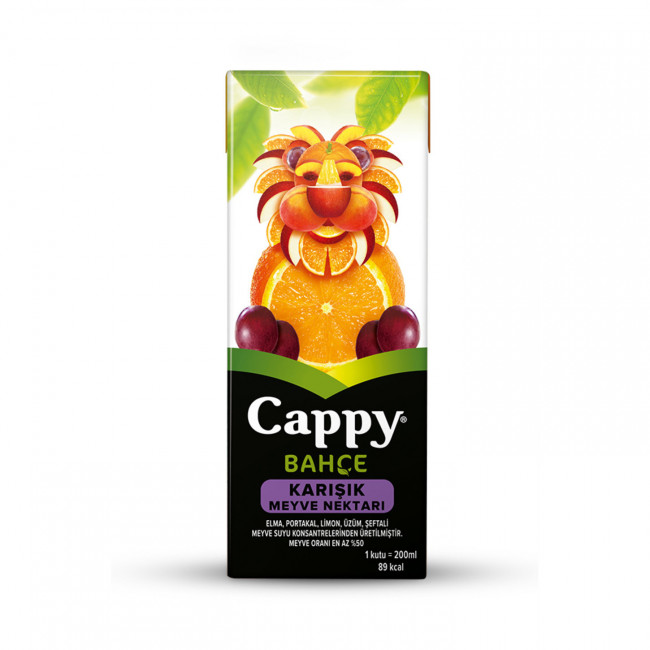 Cappy Bahçe Karışık Karton Kutu 200ml