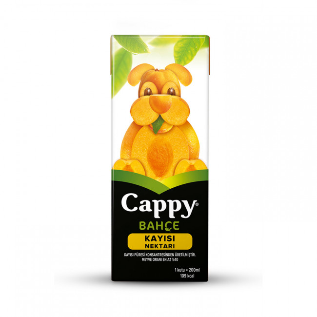 Cappy Bahçe Kayısı Karton Kutu 200ml