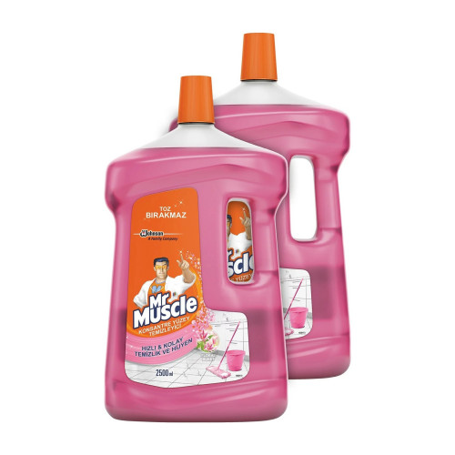 Mr Muscle Yüzey Temizleyici Floral 2,5lt